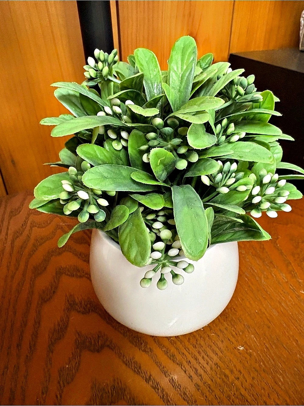 Decocrated Faux Plant in Ceramic Pot Green & White